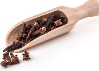 Mastigue um cravo-da-índia por dia e isso acontecerá com seu corpo