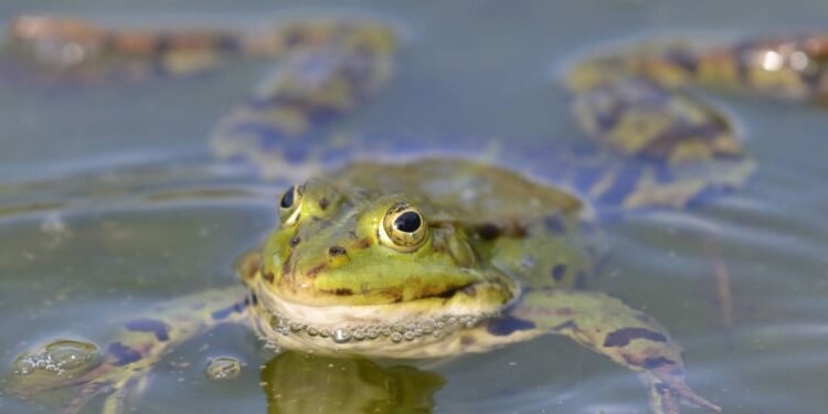 Créditos: depositphotos.com / chri_nue.yahoo.com