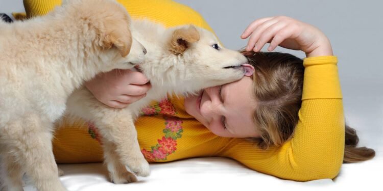 Créditos: depositphotos.com / beinder