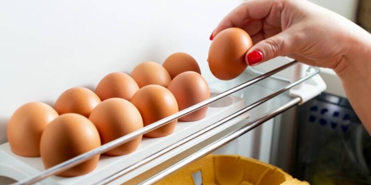 Créditos: depositphotos.com / fotoallbom.gmail.com