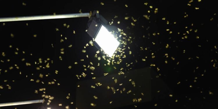 Créditos: depositphotos.com / coffmancmu