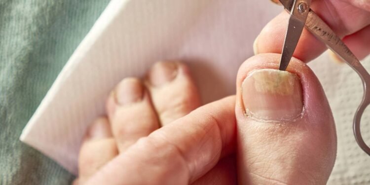 Créditos: depositphotos.com / VITstyle