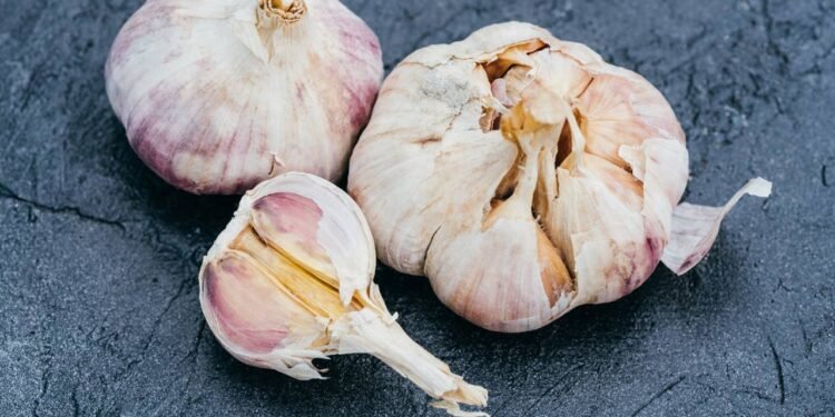 Créditos: depositphotos.com / VadimVasenin