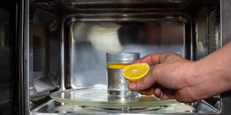 Créditos: depositphotos.com / Khaligo