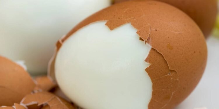 Créditos: depositphotos.com / aga77ta