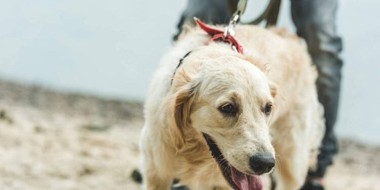 Créditos: depositphotos.com / ArturVerkhovetskiy