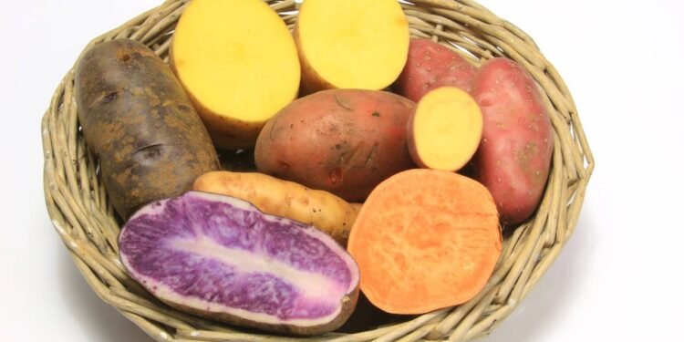 Créditos: depositphotos.com / joachimopelka