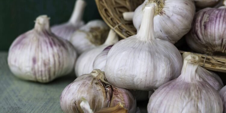 Cascas de alho: saiba como podem fortalecer suas plantas