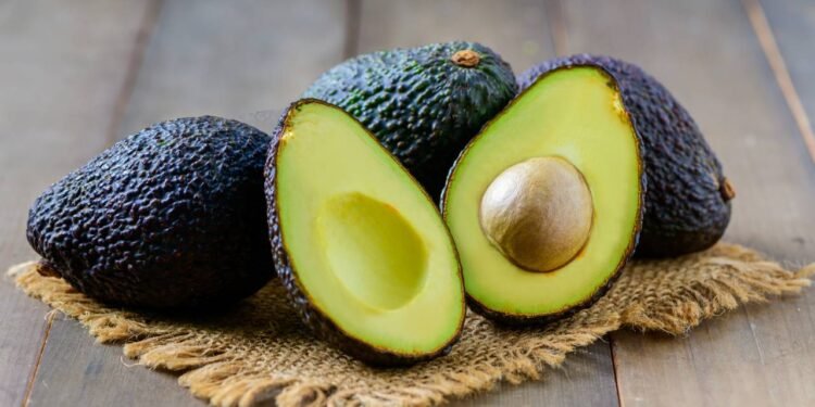 Créditos: depositphotos.com / kwanchaichaiudom