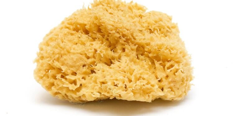 Créditos: depositphotos.com / MillaFedotova