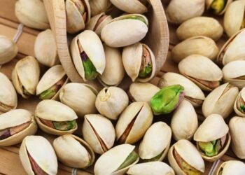 Jardinagem: saiba como cultivar árvore de pistache em casa