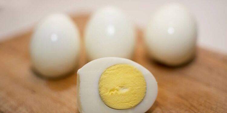 Créditos: depositphotos.com / adamico