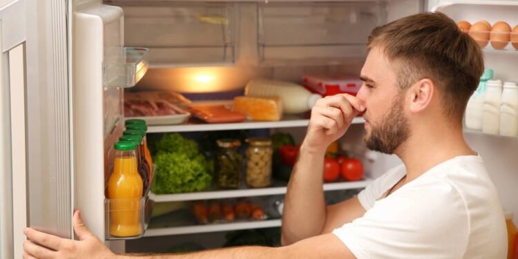 Créditos: depositphotos.com / NewAfrica