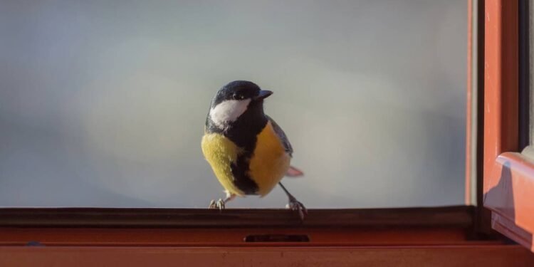 Créditos: depositphotos.com / Argument