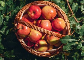 Descubra por que a maçã é considerada o ‘remédio natural’ do dia a dia