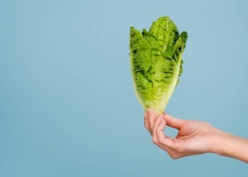 Por que a alface cresce tão rápido e tem tão poucas calorias?