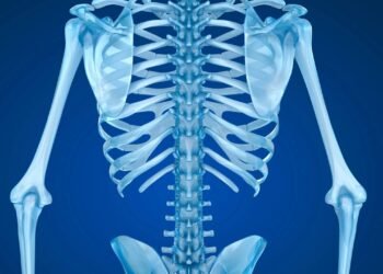 Descubra como o corpo sabe curar um osso quebrado