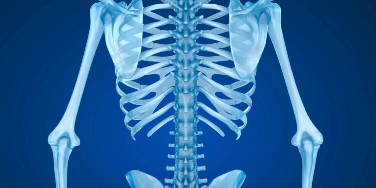 Descubra como o corpo sabe curar um osso quebrado