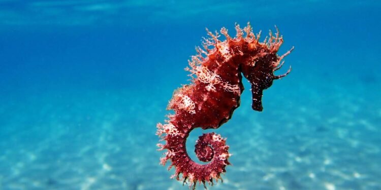 Créditos: depositphotos.com / Vojce