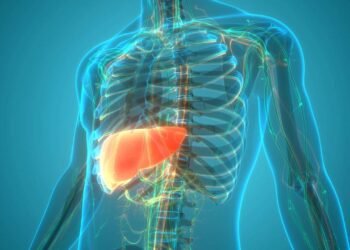 Saiba como o fígado regenera 70% de si mesmo em semanas