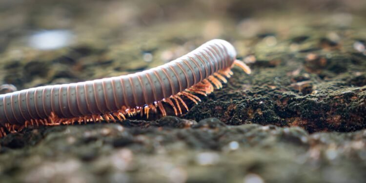 Créditos: depositphotos.com / diy13@ya.ru