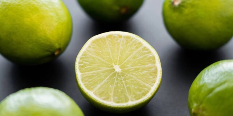 Créditos: depositphotos.com / IgorVetushko