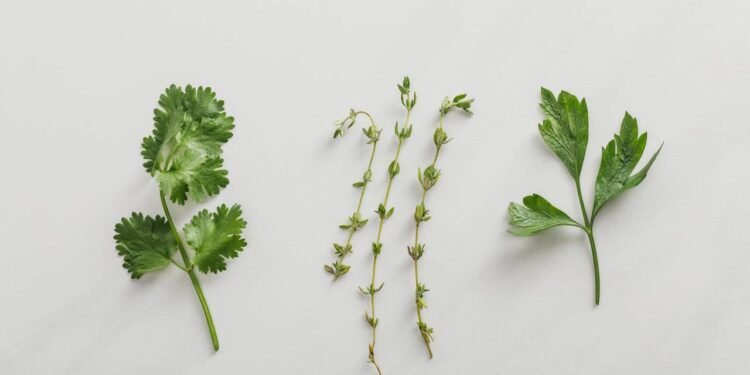 Créditos: depositphotos.com / AntonMatyukha