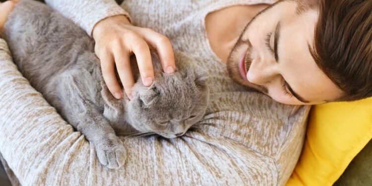 Créditos: depositphotos.com / serezniy