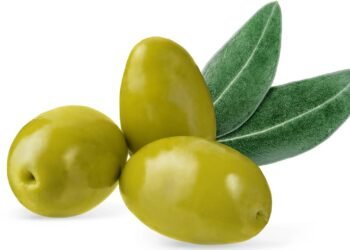 Não jogue fora! Saiba como os caroços de azeitona podem ser útil