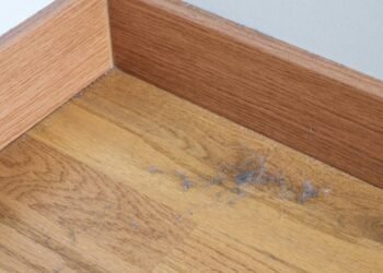 Pelos na casa? Aprenda truque de limpeza usando papel alumínio