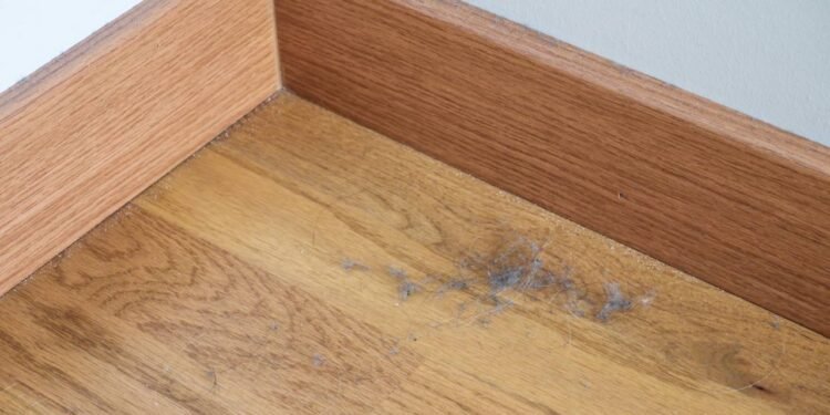 Pelos na casa? Aprenda truque de limpeza usando papel alumínio