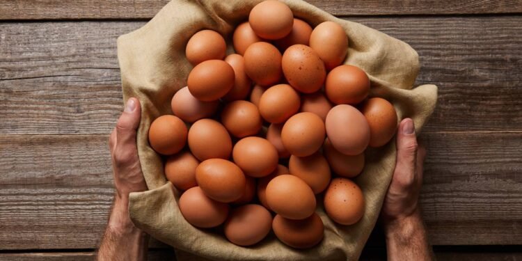 Créditos: depositphotos.com / AntonMatyukha