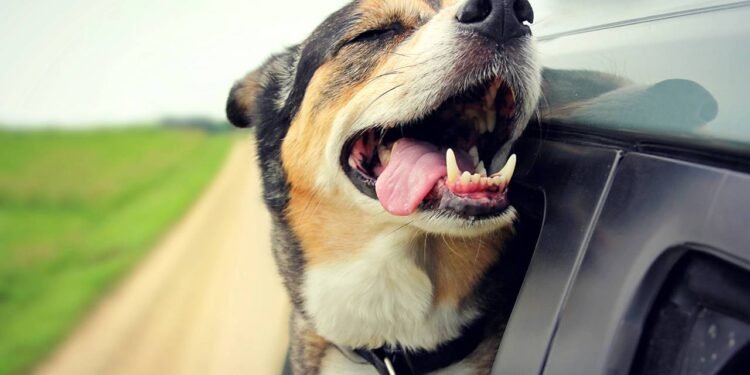 Créditos: depositphotos.com / Christin_Lola