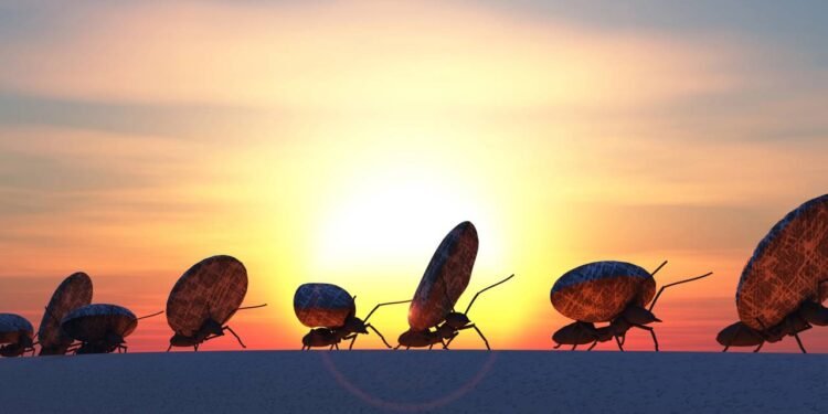 O que aconteceria se todos os insetos desaparecessem por 24 horas?