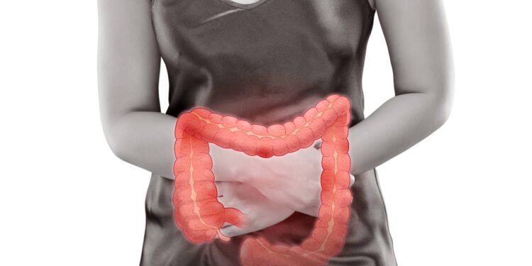 Seu segundo cérebro fica no intestino: a incrível conexão entre barriga e humor