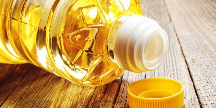 Créditos: depositphotos.com / Sasajo