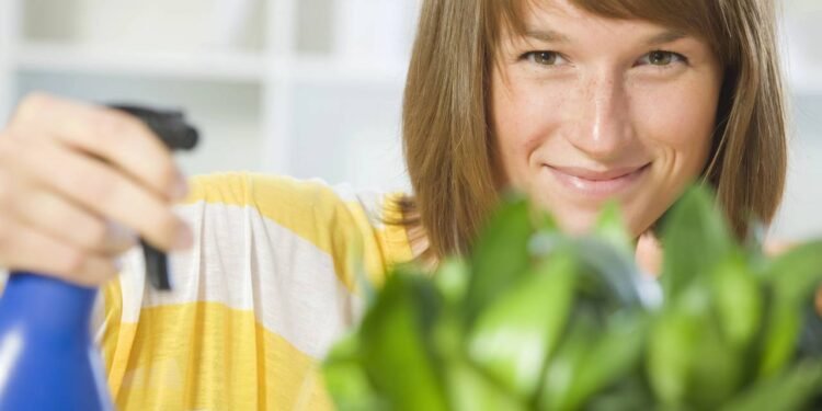 Plantas e energia: o Feng Shui explica a harmonia no lar