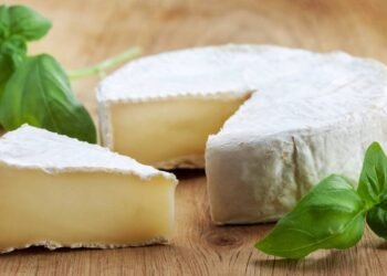 Estudo sugere que queijo gorduroso pode reduzir risco de demência