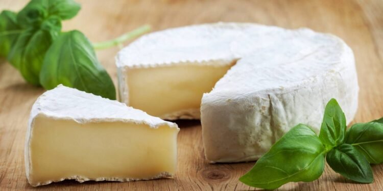 Estudo sugere que queijo gorduroso pode reduzir risco de demência