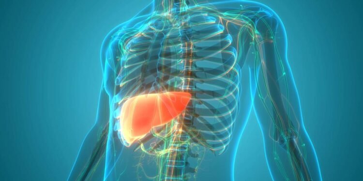 Limpeza do fígado: 3 bebidas naturais que podem ajudar