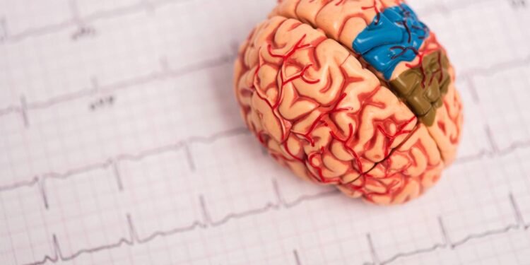 Créditos: depositphotos.com / IgorVetushko