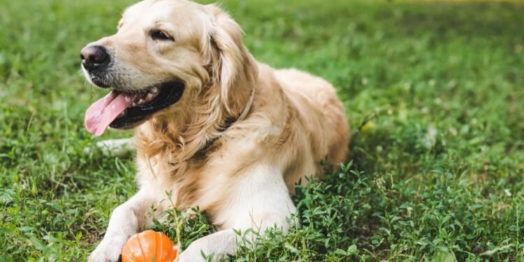 Créditos: depositphotos.com / HayDmitriy