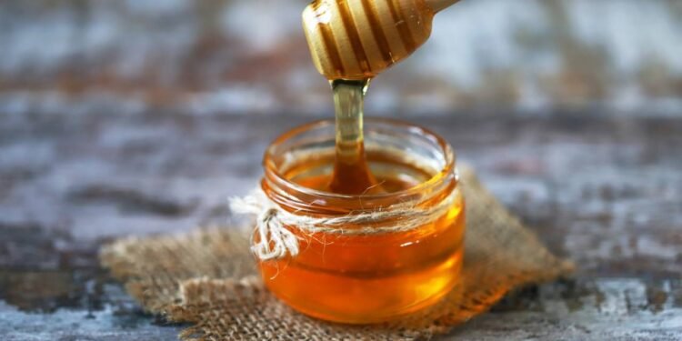 Créditos: depositphotos.com / Sunvic