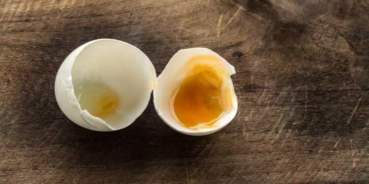 Créditos: depositphotos.com / pompardua