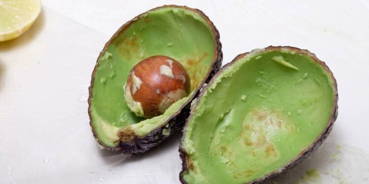 Créditos: depositphotos.com / zneb076