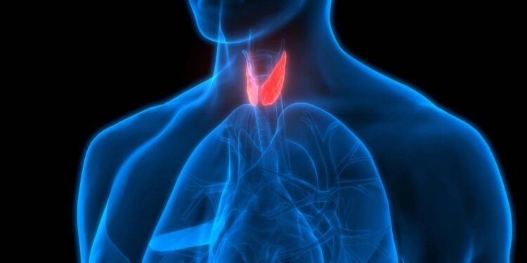 Créditos: depositphotos.com / magicmine