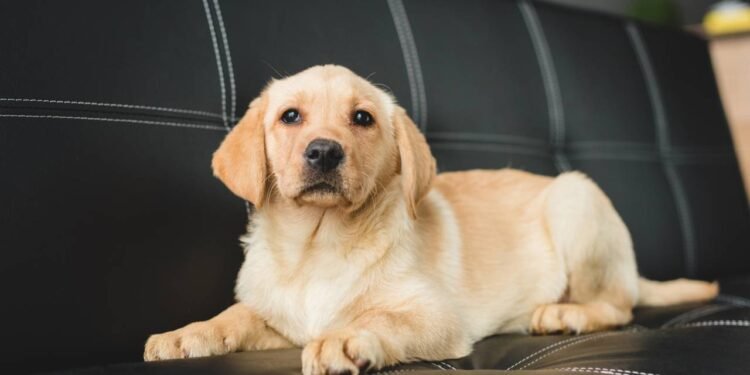 Créditos: depositphotos.com / VitalikRadko