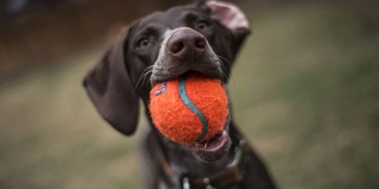 Créditos: depositphotos.com / letamarie