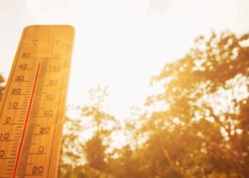Alerta: por que calor intenso pode afetar o coração
