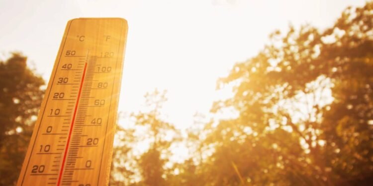 Alerta: por que calor intenso pode afetar o coração